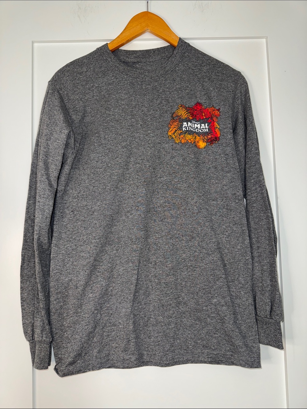 Disney Gray Crewneck long sleeve w/ Colorful Animal Kingdom Graphic Sz Small